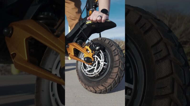 Hiley Tiger King RS is a 50 MPH Monster on a Budget